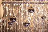 2019 Disco Holiday Party